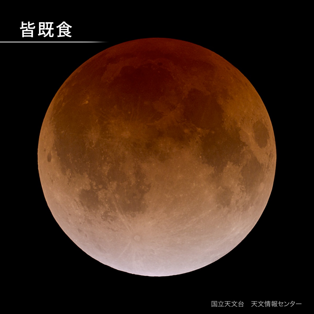 皆既月食は何時から…9月7日夜～8日、どこで見られる? 実は流れ星も観測できるかも