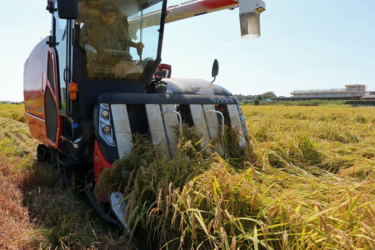 コメ農家「『ごめんなさい』と謝ってコメを売っている」 農機具で節税対策も2000万円コンバインは2年待ち