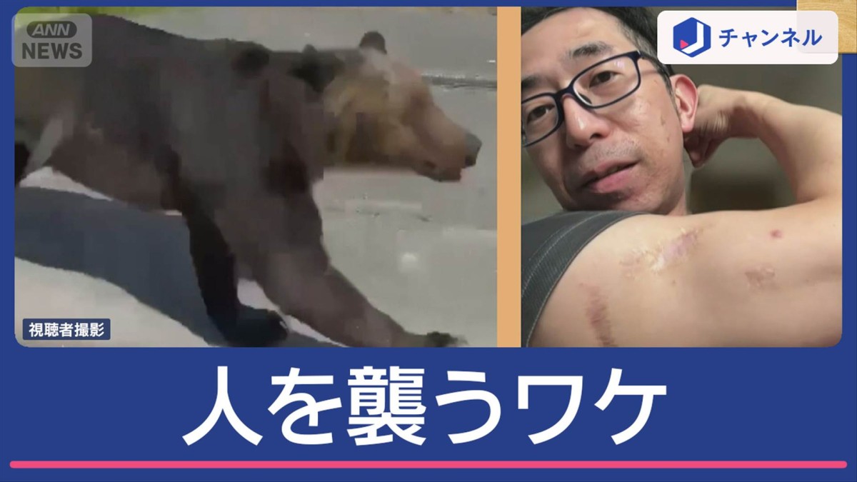 クマなぜ人を襲う？“猛暑”が原因の可能性も