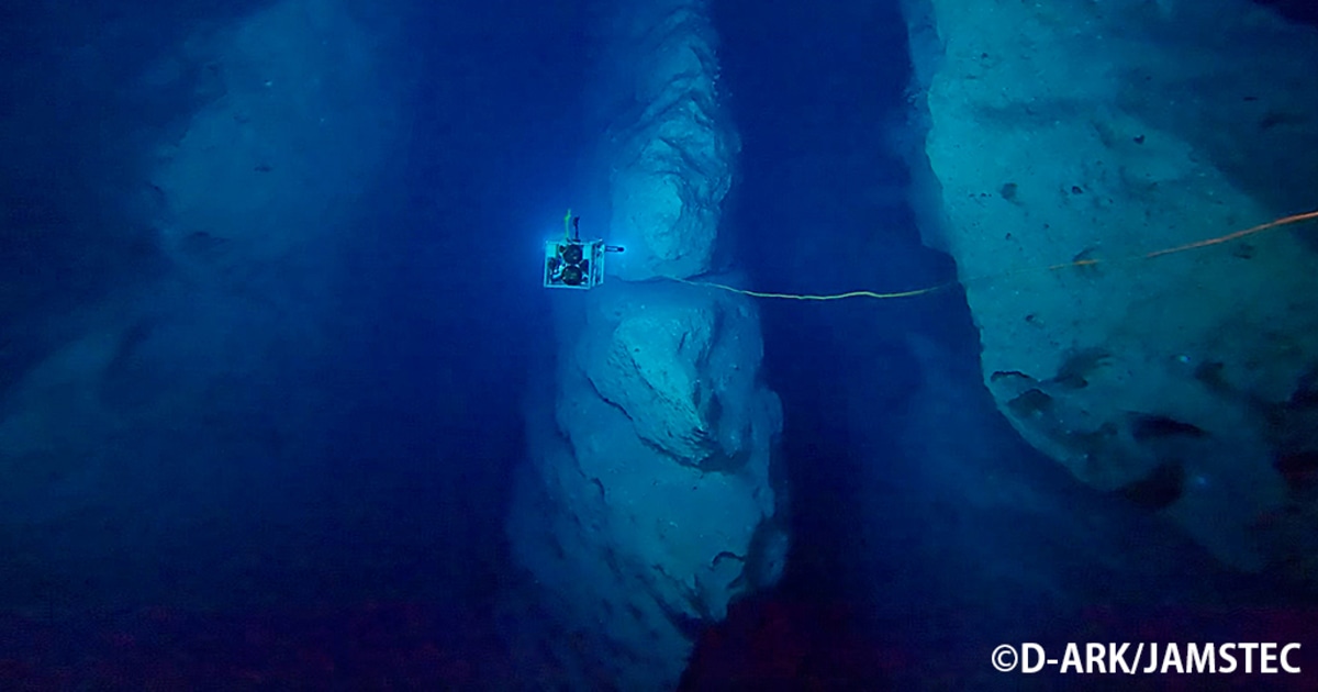 世界初、深海洞窟の中で発光する生物をとらえた！新種や希少種も続々発見！人類未到の“深海の鍾乳洞”で謎の生態系を明らかにする「D-ARK」プロジェクト（藤原 義弘） - 3ページ目