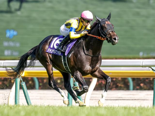 【マイルCS予想】人気馬か伏兵か AIは心強い実績馬を指名