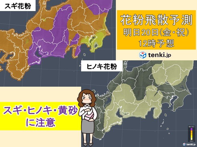 明日20日の東海は黄砂と花粉のダブルパンチ ヒノキ花粉急増で3連休も極めて多い