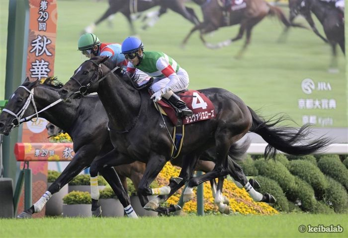 【京都大賞典】1番人気が勝てないレース！3つの共通項を満たす妙味たっぷりの穴候補を教えます