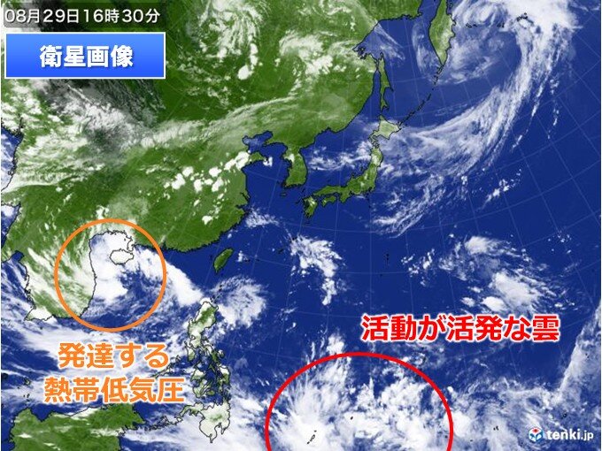 明日30日にも新たな台風発生 日本に影響なし 来週後半は別の熱帯じょう乱が北上か
