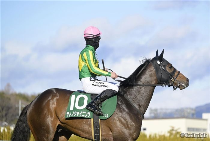 【中京記念】絶好調コンビ×好相性血統！データが導く軸馬はこの馬！