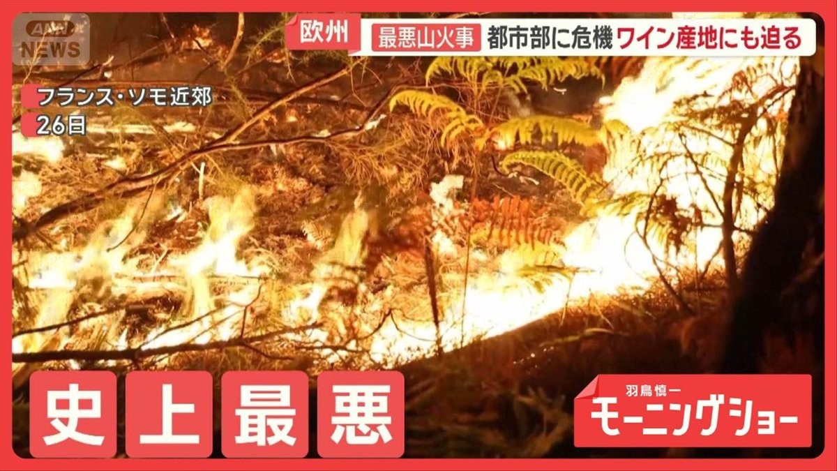 欧州で史上最悪の山火事 中国にハイペース台風 世界で被害続出 異常気象なぜ？