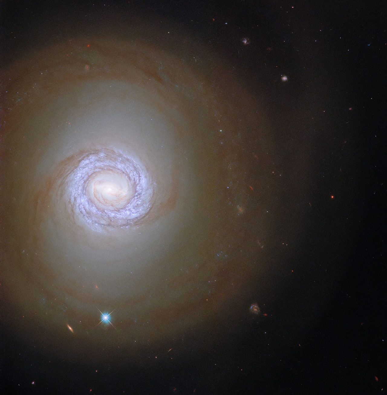 輝くリング構造と淡い渦巻腕が印象的な銀河「NGC 1317」【今日の宇宙画像】