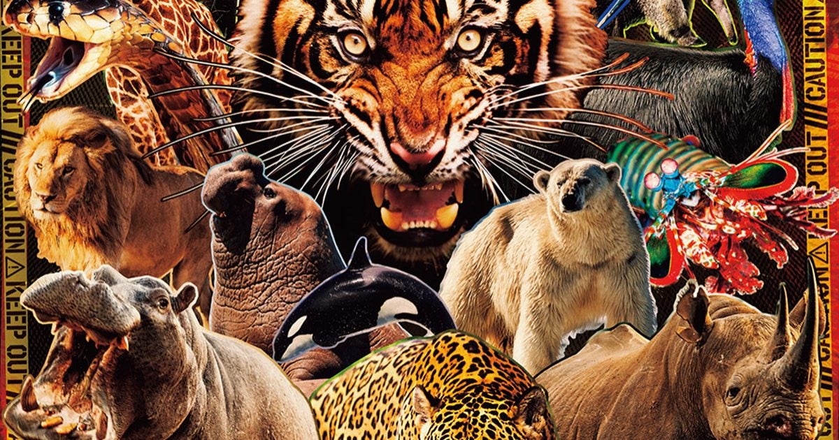 【プレビュー】特別展「超危険生物展 科学で挑む生き物の本気」国立科学博物館で26年3月14日から 動物たちが繰り出す“一撃必殺”の危険技の謎に迫る