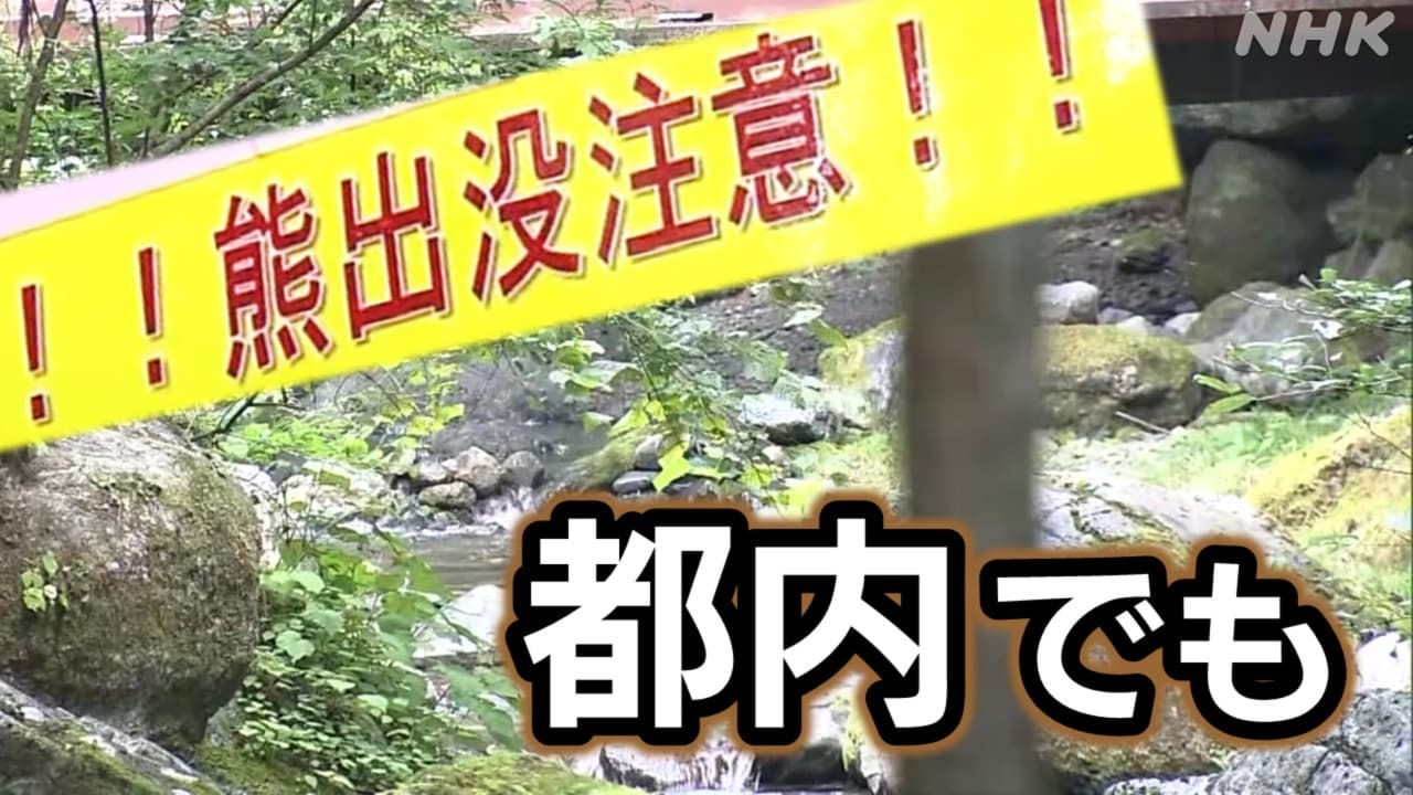 東京都内でも熊被害 奥多摩町では襲われけが 青梅市や日の出町では目撃相次ぐ