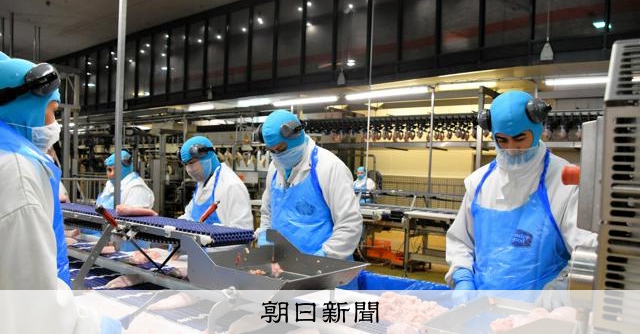 「移民はいらない｣首相は豪語するけれど 少子化ハンガリーの現場は