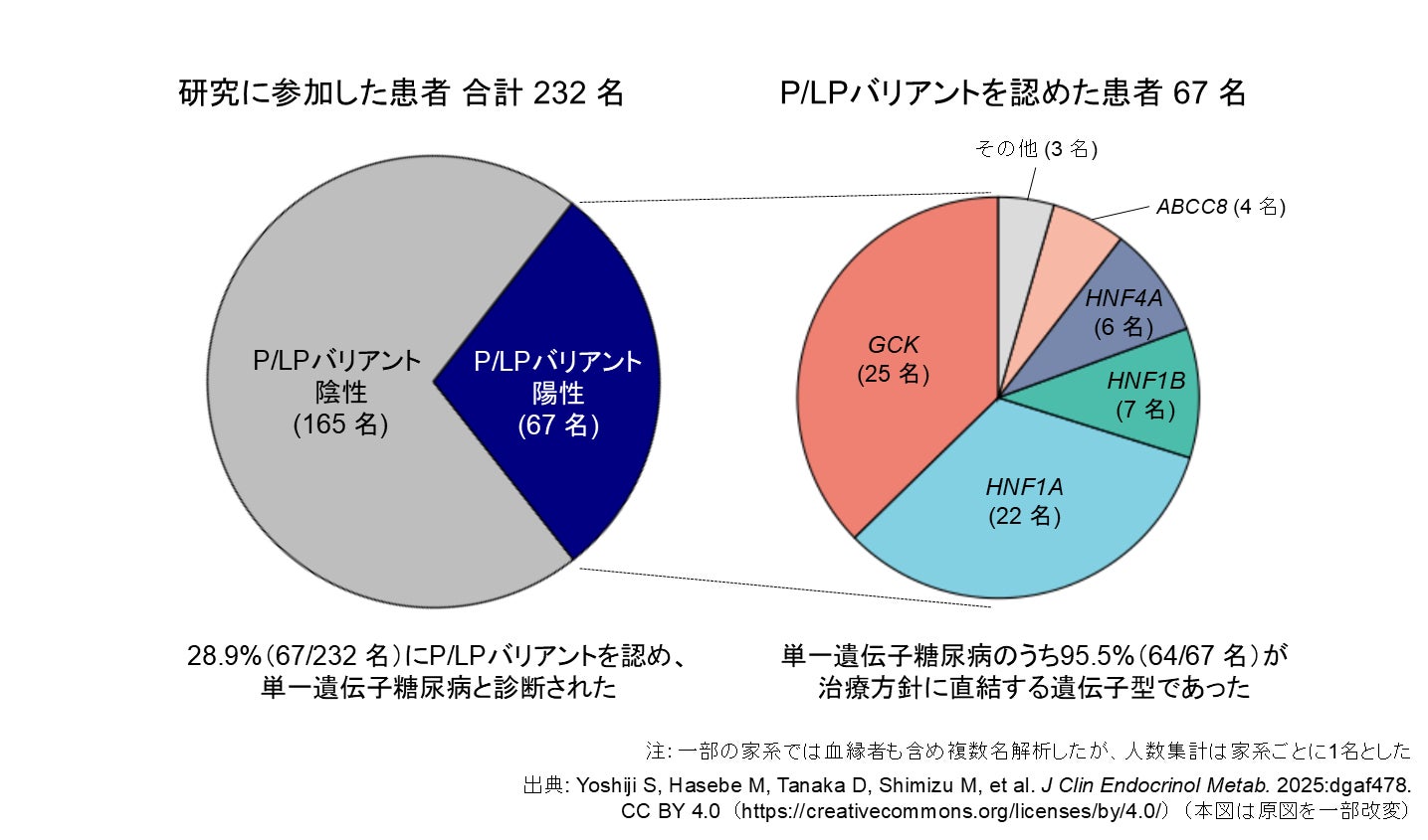 若年発症糖尿病に全国規模の遺伝子解析を実施
