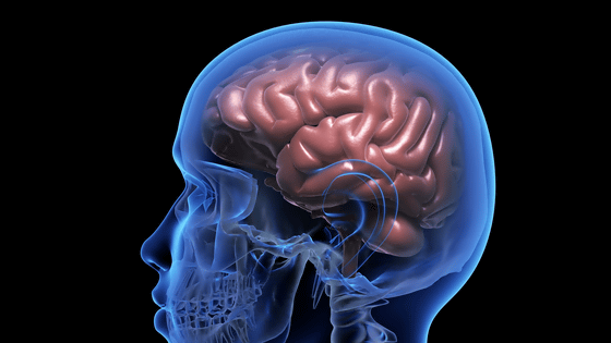 「脳に電極を埋め込んで手のマヒを回復させる技術」を中国企業が開発、国内販売も承認