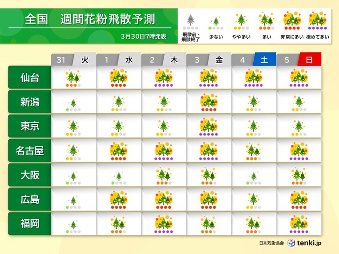明日は警報級の大雨 花粉飛散は抑えられる 4月1日は大量飛散 お花見は対策が必要