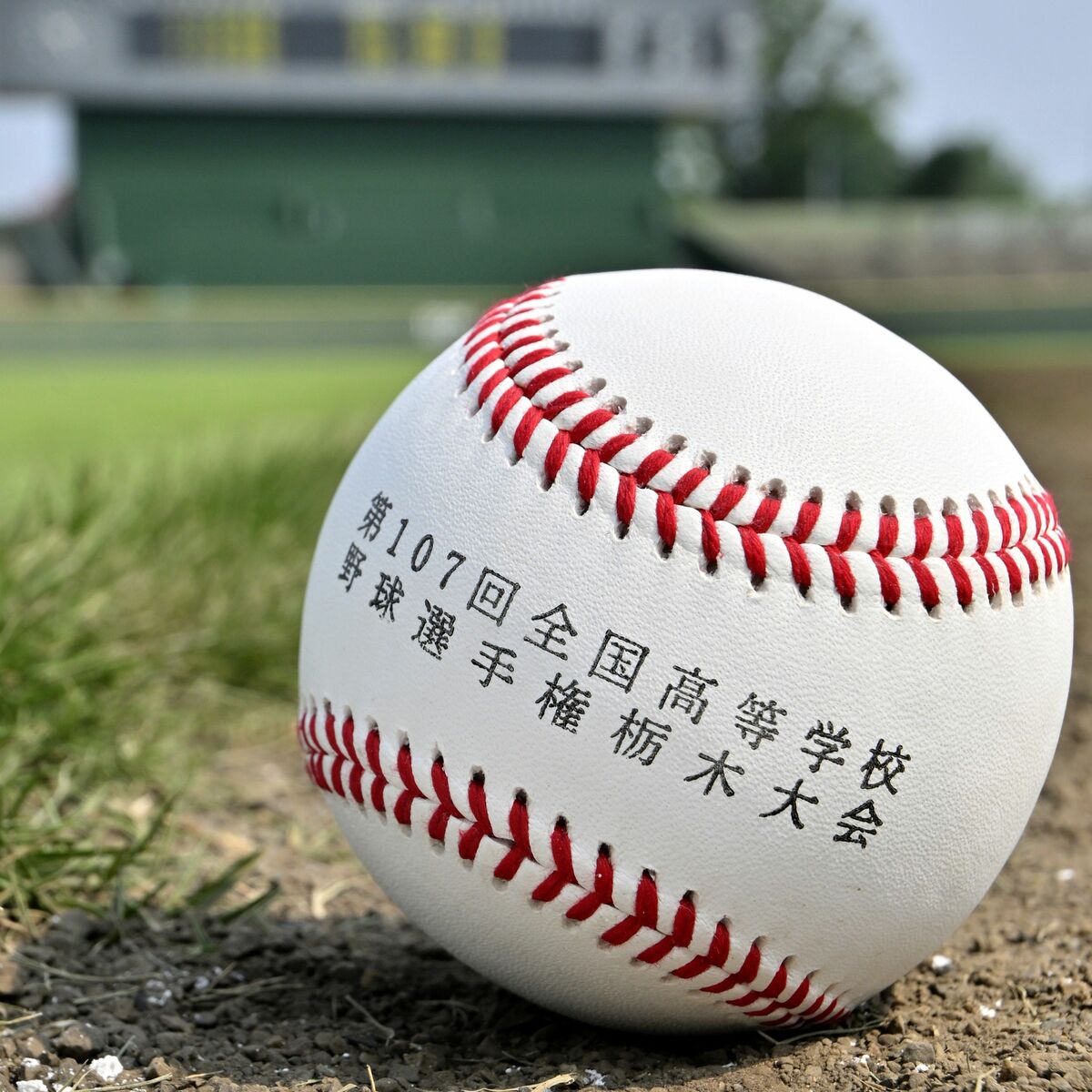 石橋、佐野日大、宇商など３回戦進出 高校野球栃木大会第６日