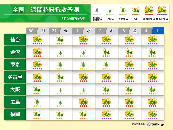 ヒノキ花粉のピークは4月上旬にかけて ゴールデンウィーク頃まで対策を