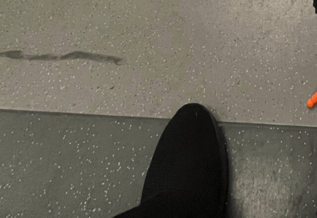 駅のホームで、通りすがりの外国人女性に声をかけられ違和感。→女性の視線の先を見てみると…「すげー！！」「これは可愛い」（ほ・とせなNEWS）