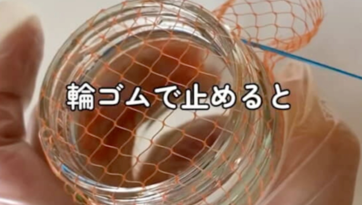 玉ねぎのネットを瓶にかぶせるだけで…… 「その手があったか!!!」 水耕栽培が激変する「大発明ですよこれ！」「その手があったか!!!」