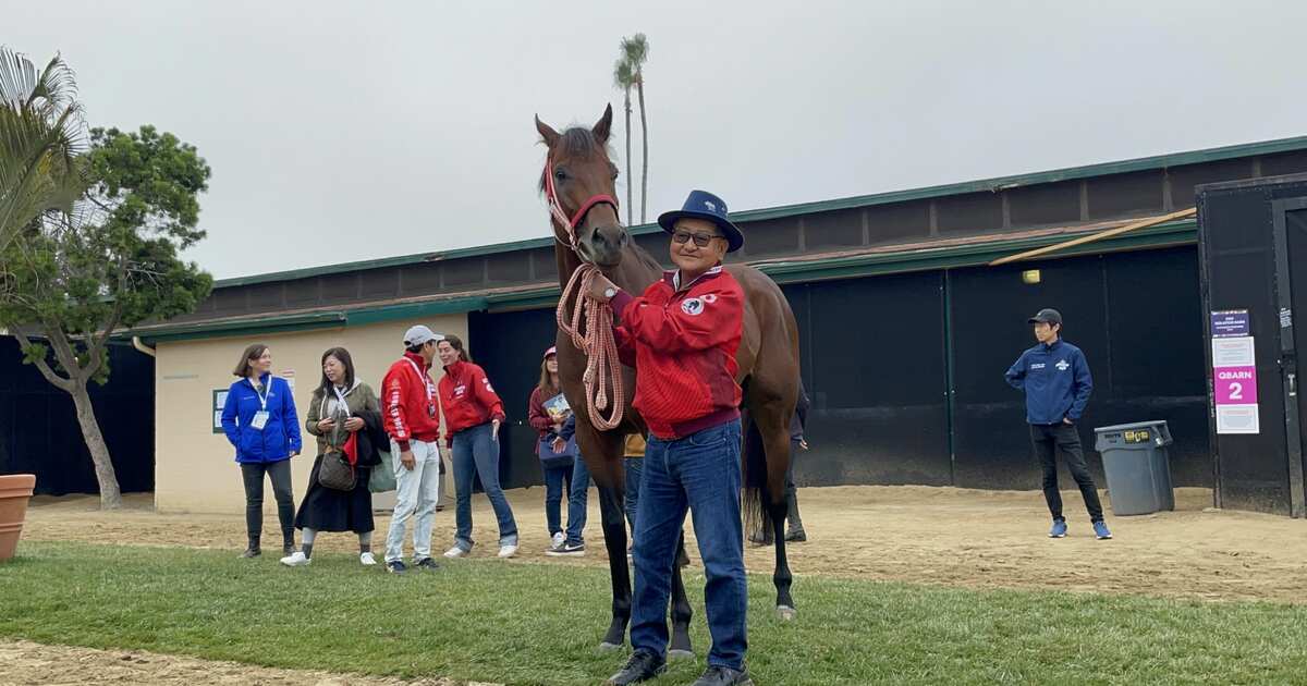 【BCクラシック 一夜明け】フォーエバーヤング元気いっぱい 今後はサウジCへ直行 矢作師「元気であれば来年いっぱい走らせるつもり」