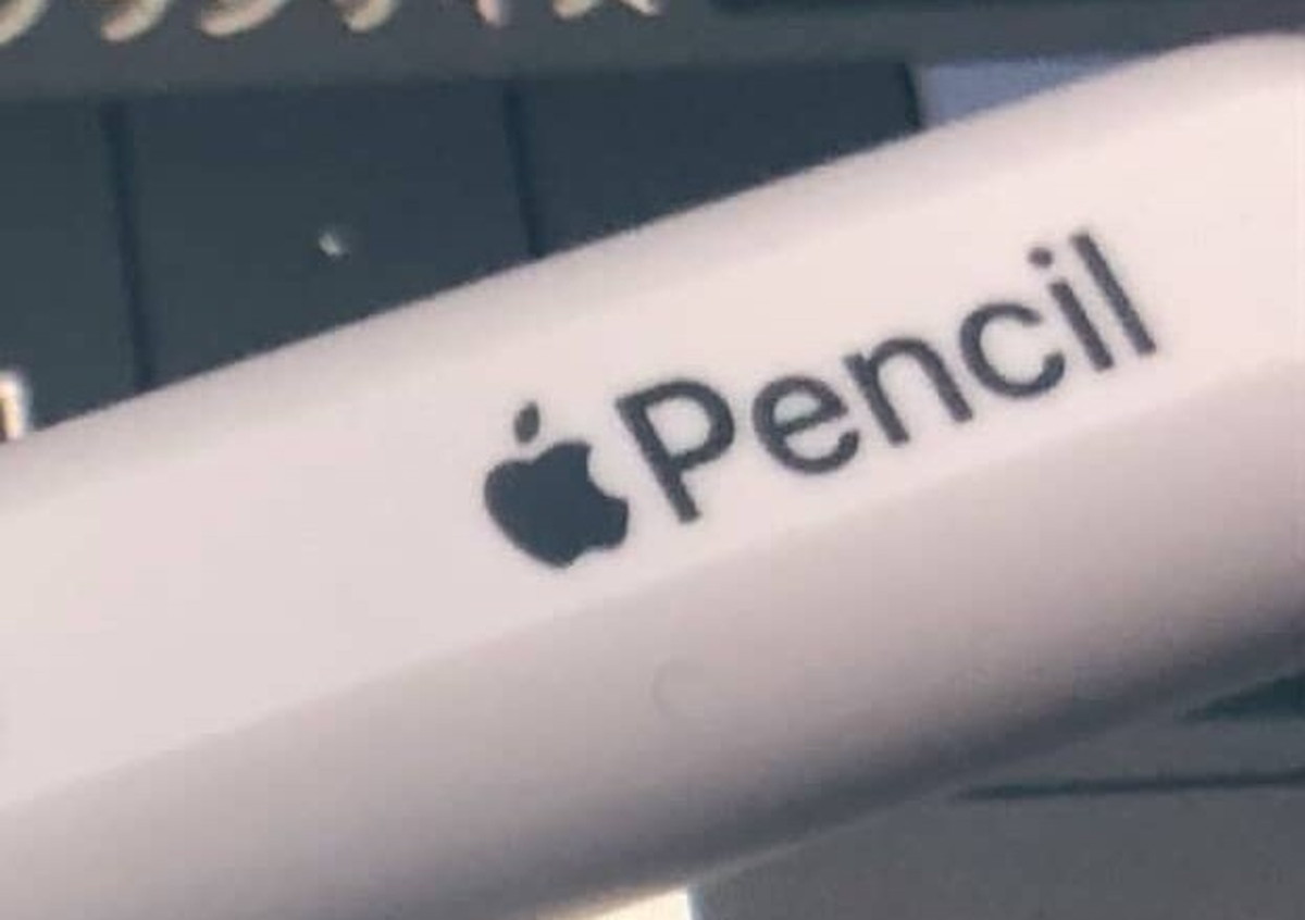 「Apple Pencil」高かったから大事にしたくて……“そうはならんやろ“すぎる光景が「草」と話題 思わぬ共感も