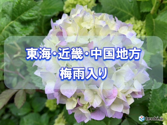 東海・近畿・中国地方が梅雨入り 平年より3日遅く 本格的な雨のシーズンに