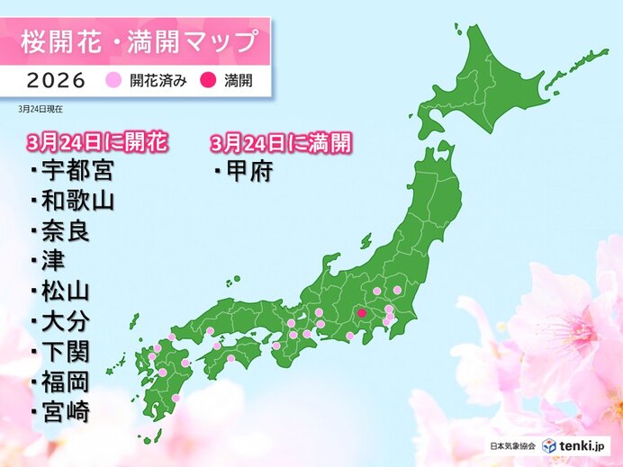 宇都宮・松山・宮崎で続々と桜開花 宇都宮は平年より6日も早い 来週は満開ラッシュ