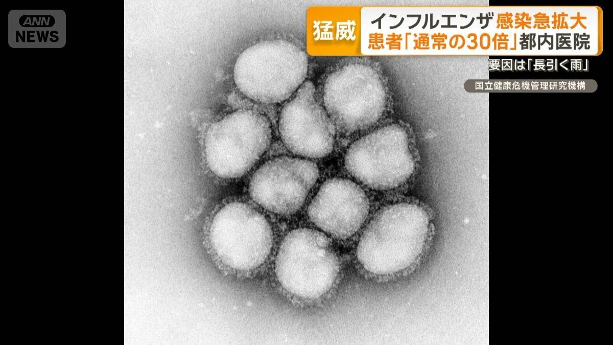 インフルエンザ感染急拡大 患者「通常の20～30倍」都内医院 「長引く雨」一因か