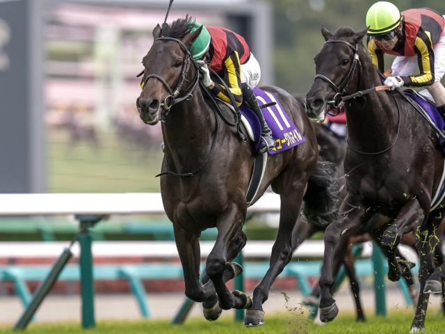 【AI予想・セントライト記念】前走は明確な敗因があり参考外！ 人工知能の本命馬には条件替わりでの一変に期待
