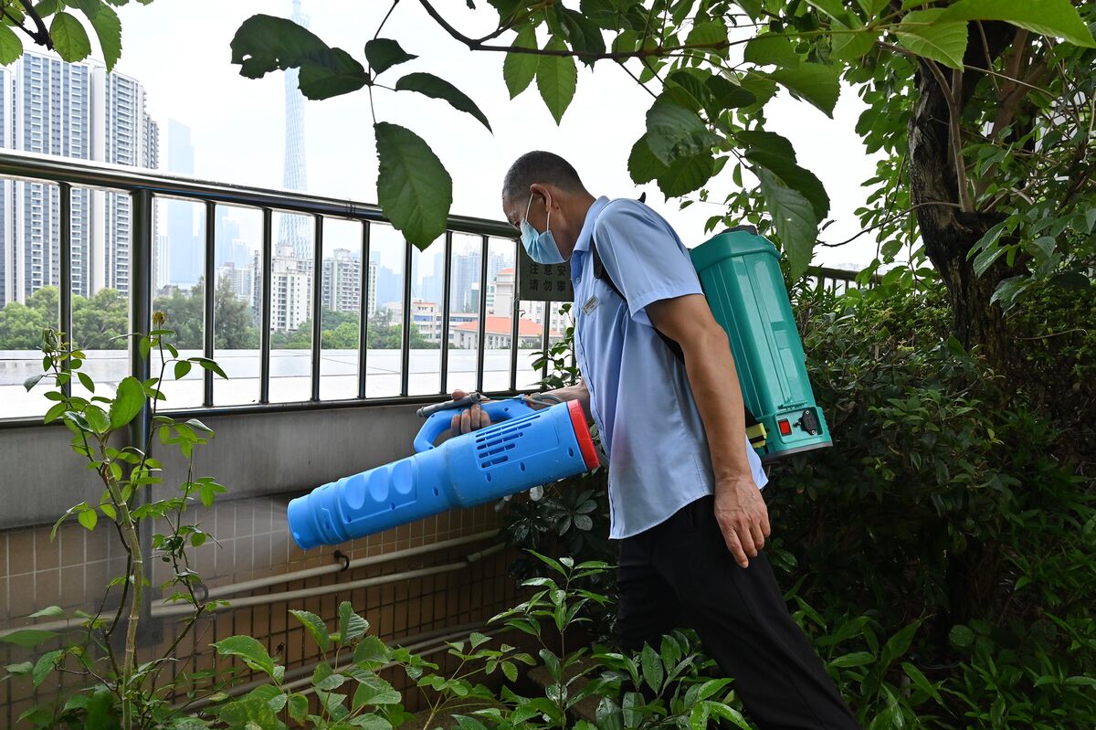 感染症チクングニア熱が中国で流行、米ＣＤＣが渡航情報発出を準備