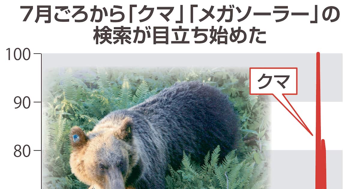 クマの市街地出没、SNSに目立つメガソーラー原因説「すみか奪ってる」「クマ被害増加」