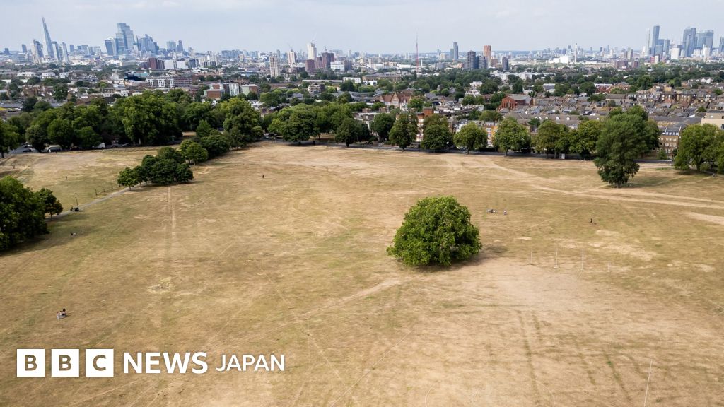 英イングランドで干ばつ、半分以上の地域で 環境当局が警告
