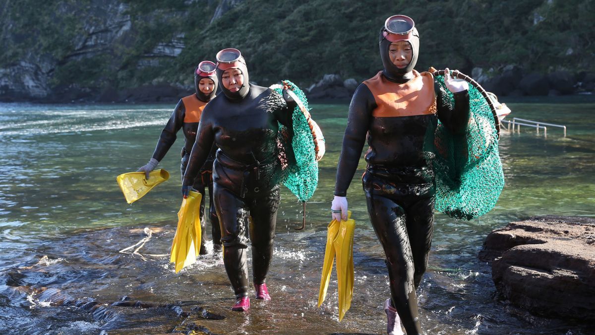 韓国・済州島の女性潜水士、水中活動向けに体質進化か 科学者が新たな証拠つかむ