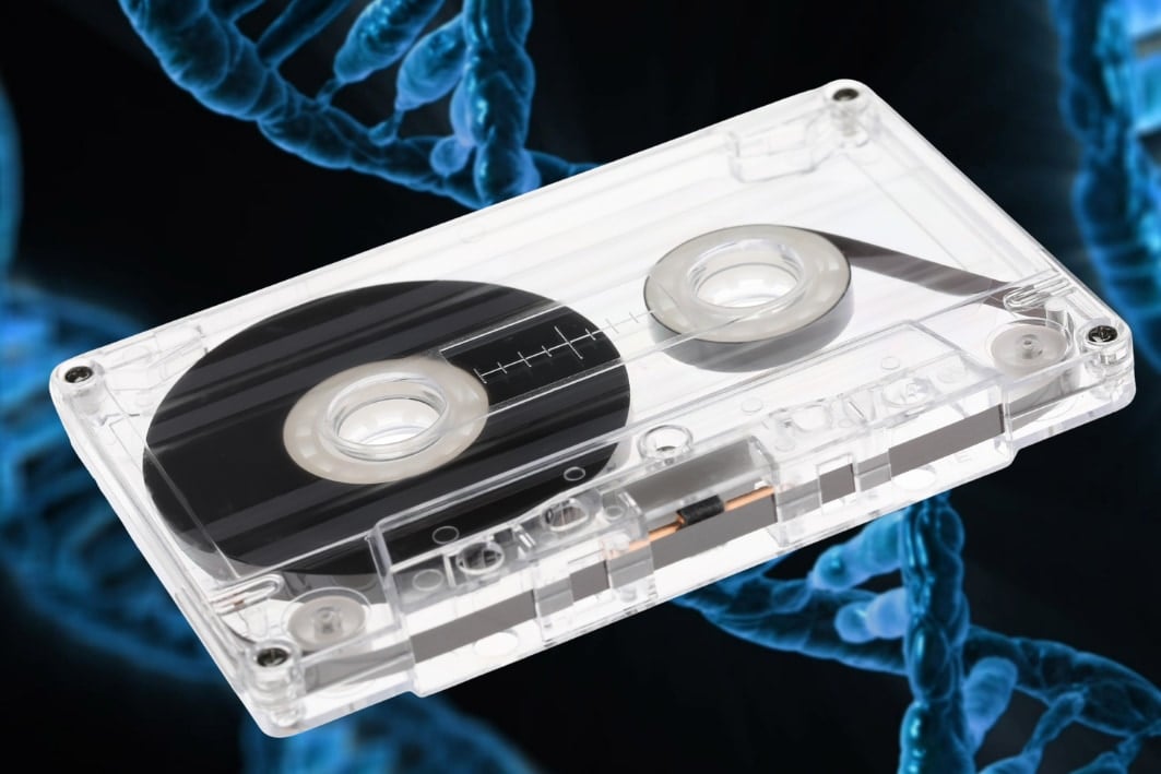 DNAカセットテープは人類の全音楽を最大2万年も保存できる