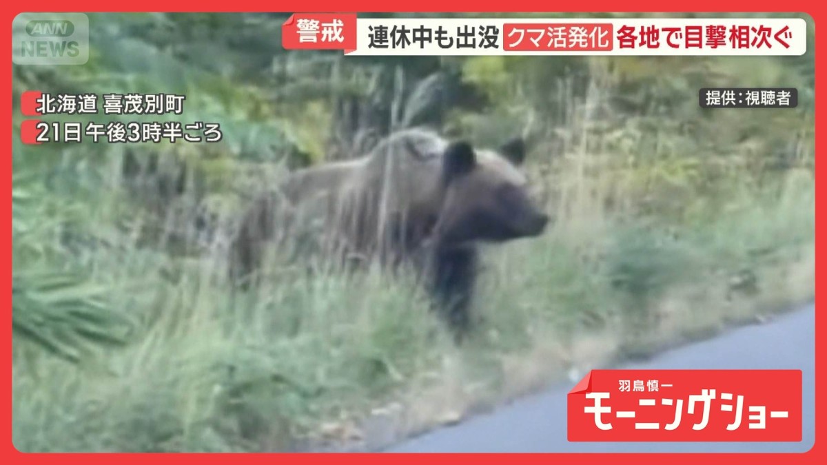 クマ活発化で警戒 SW連休中も出没 各地で目撃相次ぐ にぎわう高尾山でも登山者警戒
