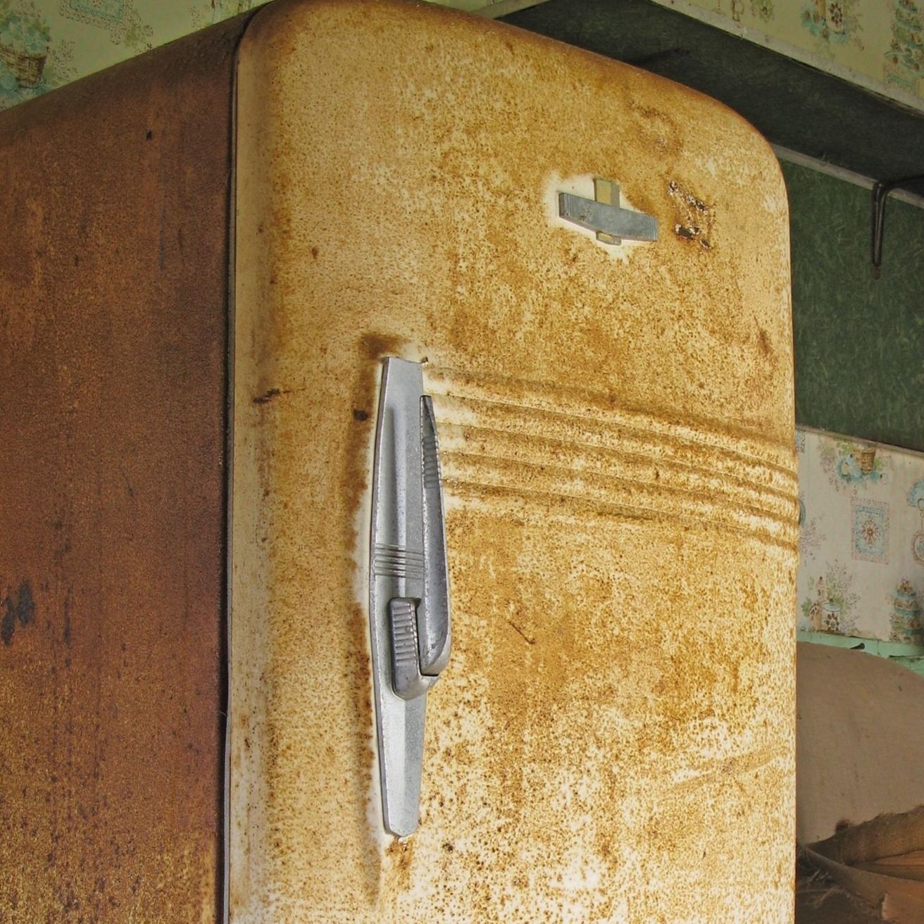 冷蔵庫から見つかったのは「人肉の缶詰」、学校の食事に混ぜていたことも…犠牲者は30人以上《ロシアの人喰いカップル》が捕まった「意外な経緯」（平成29年・海外の凶悪事件）（文春オンライン）