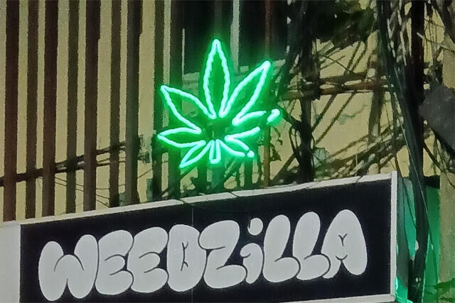 「これで大麻ビジネスは安泰だ」医療目的のはずが、観光客はパスポート提示だけ…処方箋は店が用意 タイで進む規制骨抜きの実態