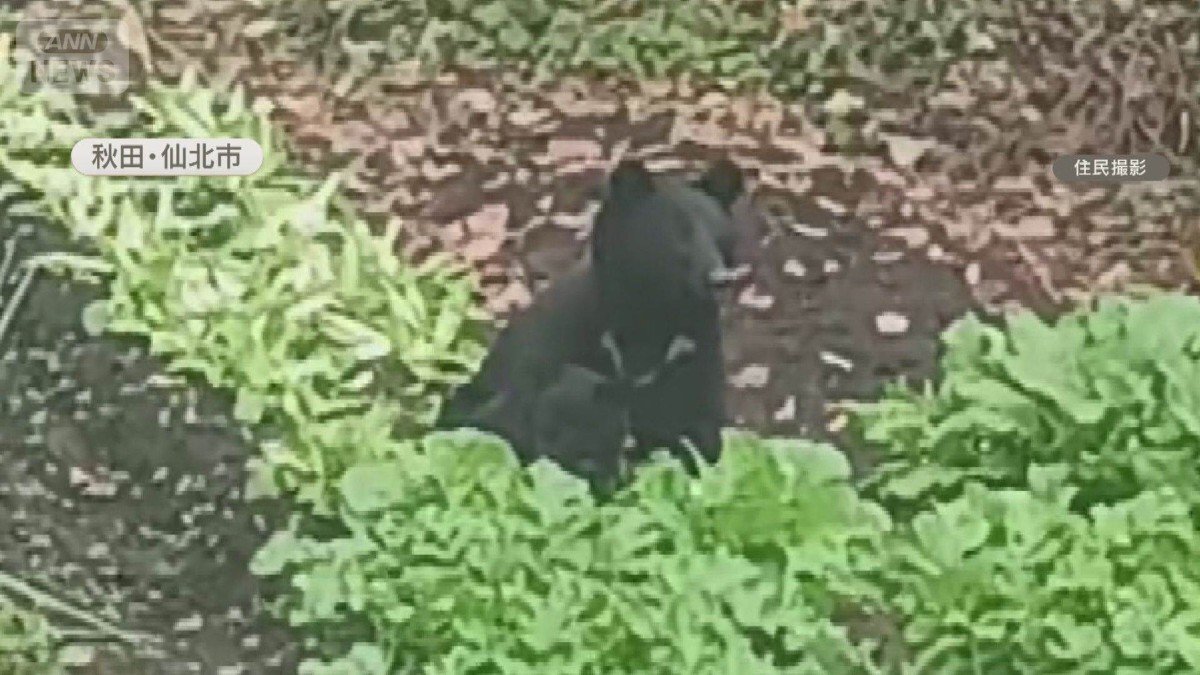 命がけでも日当9000円 ガソリン代などで赤字に それでも「誰かがやらねば」