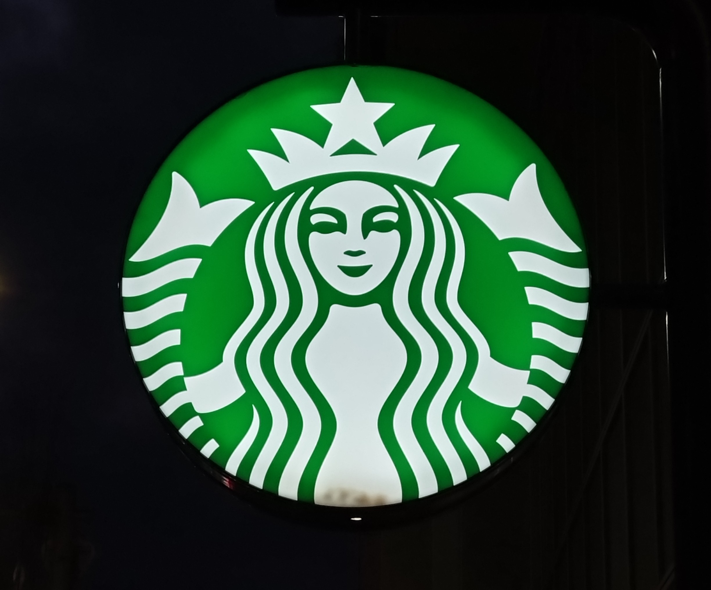 「長財布やポーチなど色々入る」スタバの限定“トートバッグ”に絶賛の声 「オシャレなのにシンプル」「荷物の多い人でも満足」