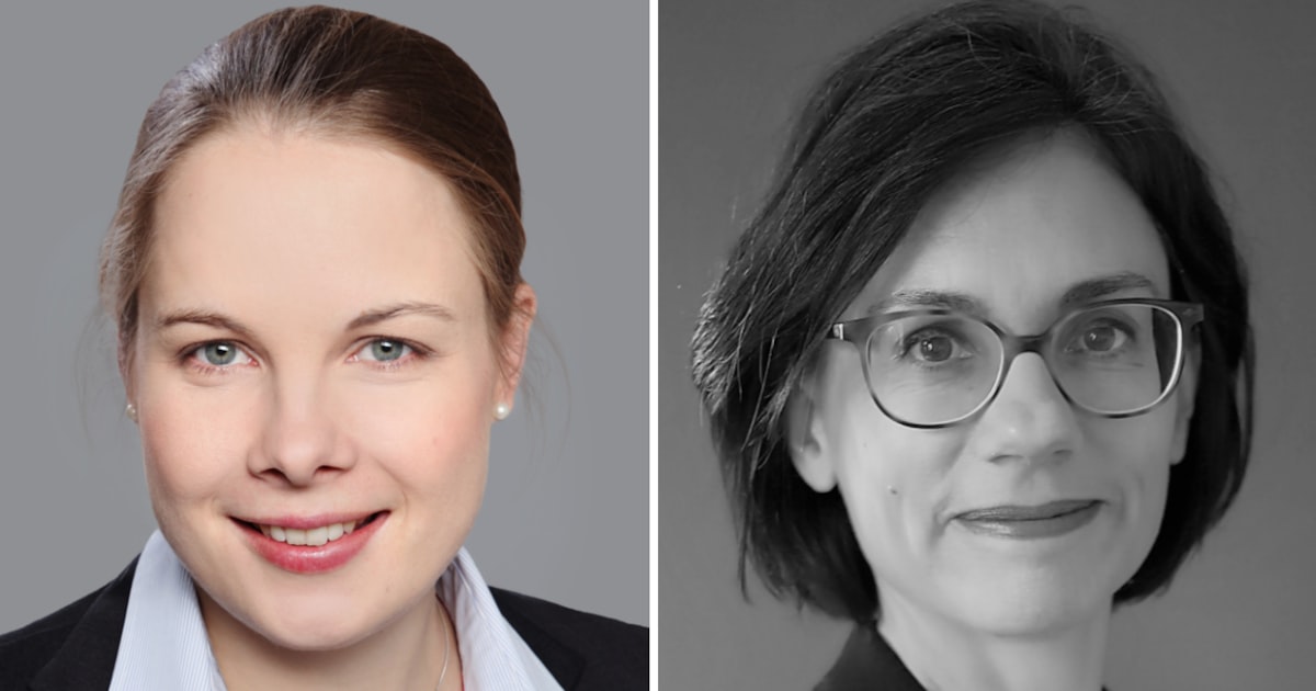 中国レーダー照射「欧州安保にも重大｣｢米中対立も影」 独仏識者の見方