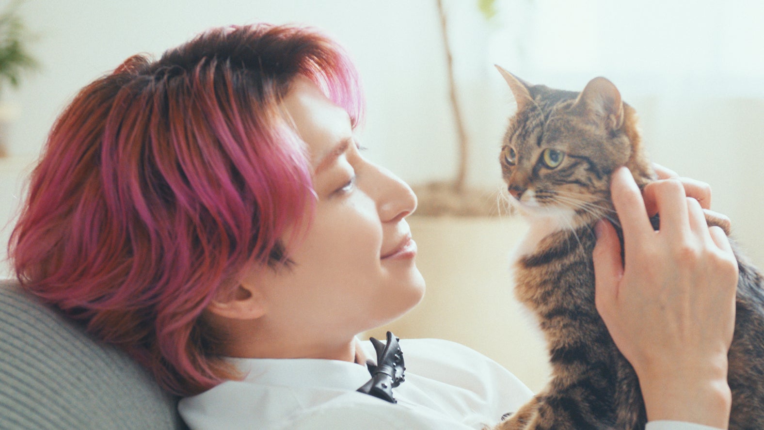 Snow Man佐久間大介、新CMで猫に囲まれ笑顔 愛猫との秘話も「可愛いなと思います」