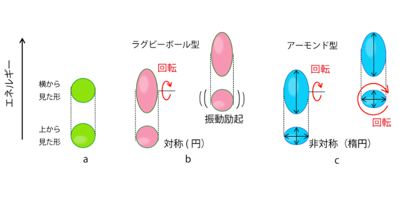 原子核の形状は「アーモンド」