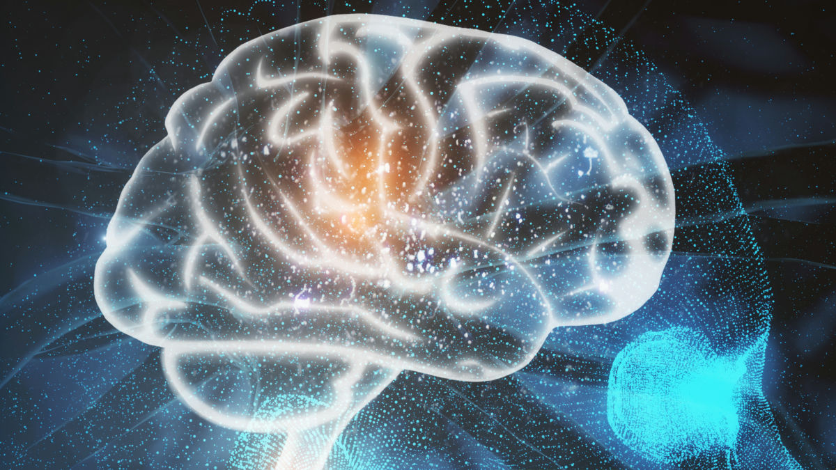 たった数時間でアルツハイマー病に関連する物質を脳から大量に除去できる新治療法が登場