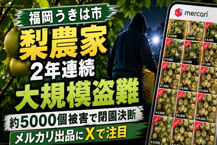 福岡うきは市 梨農家2年連続大規模盗難 約5000個被害で閉園決断 メルカリ出品にXで注目