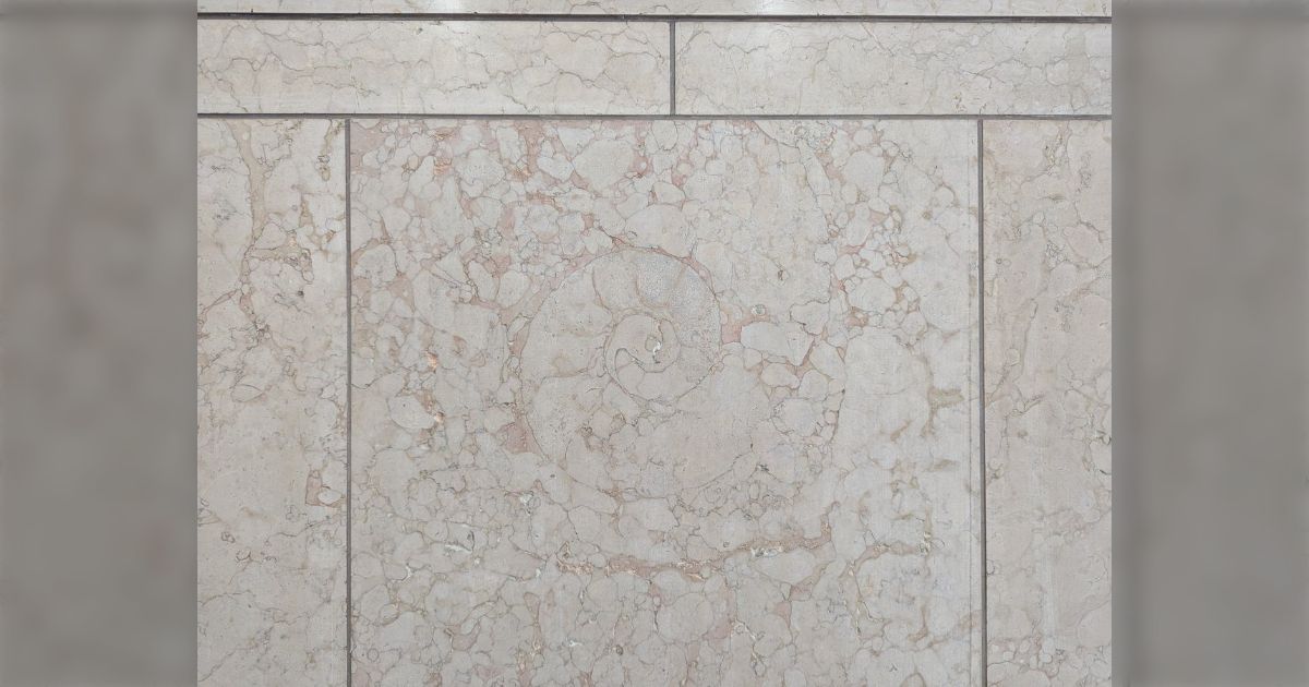 大阪府庁でアンモナイトの写真を撮ろうとしたら、警備員のおっちゃんが「あっちのが大きいで！」と教えてくれた「大阪！って感じでほっこり」「大理石あると探しちゃう」