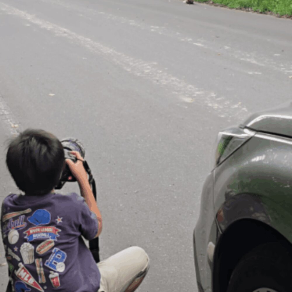 野生のキタキツネに遭遇した小5息子 カメラを構えると…→まさかの結果に「すげえ！！！」「神秘的」「素敵な夏の体験」